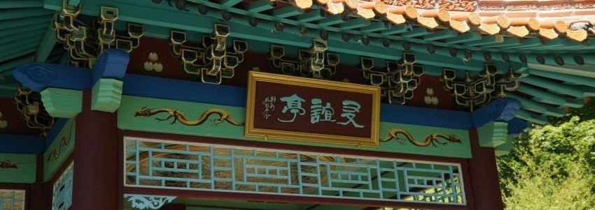 DSC05264 DSC05264
